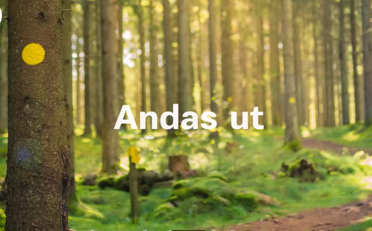 Kampanj hösten 2025